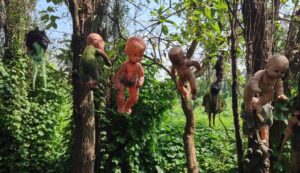 The Island of Dolls, Mexico: A Sinister Collection of Dolls and Haunting Whispers