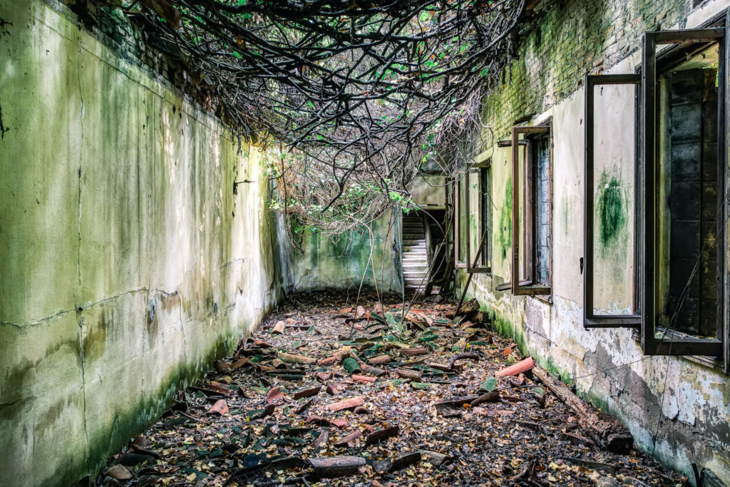 Poveglia Island